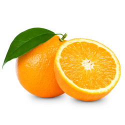 EGYPT VALENCIA ORANGE 72 (6S) EGYPT VALENCIA ORANGE 72 (6S)
