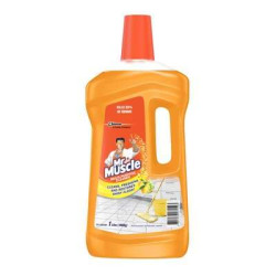 MR MUSCLE MULTI PURPOSE FLOOR CLEANER - LEMON 1LIT MR MUSCLE MULTI PURPOSE FLOOR CLEANER - LEMON 1LIT