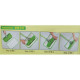 F1 FLAT SUPER MOP SET F1 FLAT SUPER MOP SET