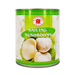 MS BRAND BAILING MUSHROOM 815GM MS BRAND BAILING MUSHROOM 815GM