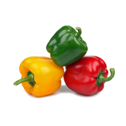 MIX CAPSICUM 500GM MIX CAPSICUM 500GM