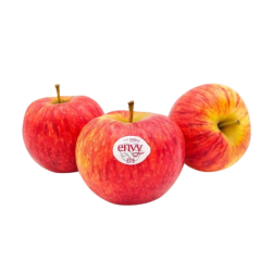 NZ ENZA ENVY APPLE 6S NZ ENZA ENVY APPLE 6S