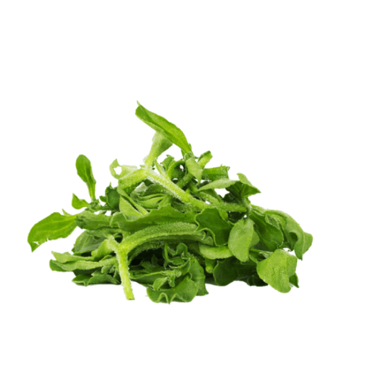 VEGE2FRESH ICE PLANT 100GM