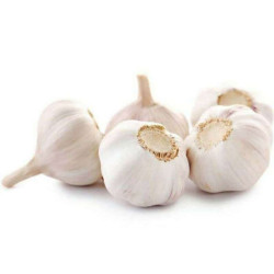 WHITE GARLIC  6.5-7.5CM 1KG