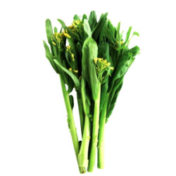 SUNSHINE FRESH CHOICE KAILAN 250GM SUNSHINE FRESH CHOICE KAILAN 250GM