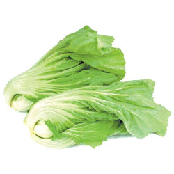 VEGE2FRESH KAI CHOY 350GM VEGE2FRESH KAI CHOY 350GM