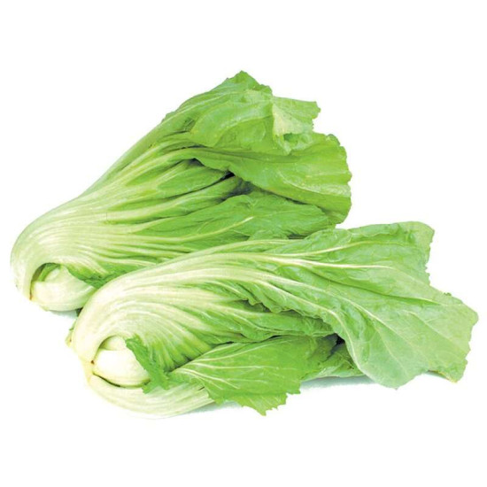 VEGE2FRESH KAI CHOY 350GM