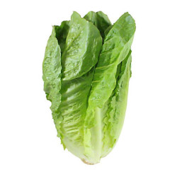 VEGE2FRESH ROMAINE 400GM  VEGE2FRESH ROMAINE 400GM