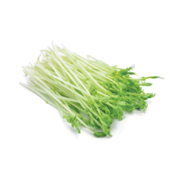 VEGE2FRESH PEA SPROUT 200GM VEGE2FRESH PEA SPROUT 200GM