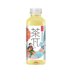 NONG FU SHAN QUAN GRAPEFRUIT JASMINE TEA 500ML NONG FU SHAN QUAN GRAPEFRUIT JASMINE TEA 500ML