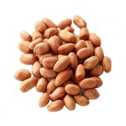 RAW PEANUT(GROUNDNUTS) RAW PEANUT(GROUNDNUTS)