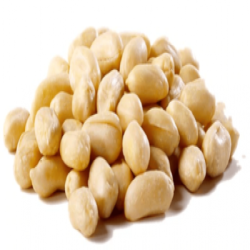 BLANCHED PEANUT KERNELS 29/33 BLANCHED PEANUT KERNELS 29/33