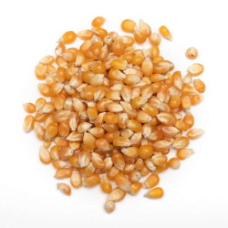 POPCORN STAR POPCORN STAR
