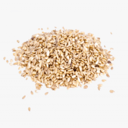 WHITE SESAME WHITE SESAME