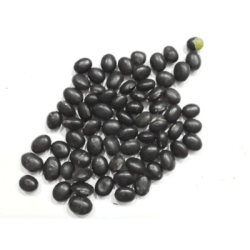 BLACK BEANS (9MM) BLACK BEANS (9MM)