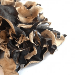 ALJO CLOUD EAR FUNGUS ALJO CLOUD EAR FUNGUS