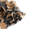 ALJO CLOUD EAR FUNGUS ALJO CLOUD EAR FUNGUS