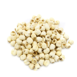LOTUS NUT LOTUS NUT