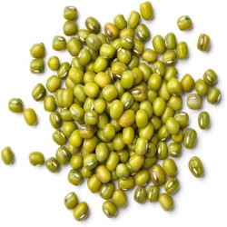 GREEN BEAN GREEN BEAN