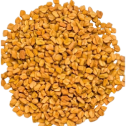 BIJI HALBA BIJI HALBA