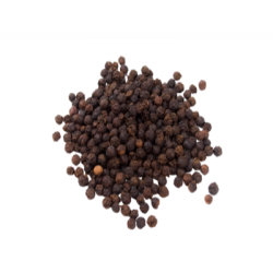 LADA HITAM ( BLACK PEPPER) LADA HITAM ( BLACK PEPPER)