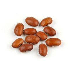 BROWN BEAN BROWN BEAN