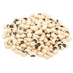 WHITE EYE BEAN WHITE EYE BEAN