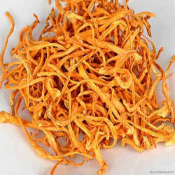 CORDYCEPS FLOWER CORDYCEPS FLOWER