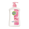 DETTOL HAND WASH SKIN CARE 500G