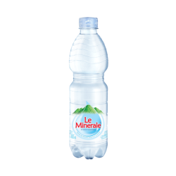 LE MINERALE MINERAL WATER 600ML LE MINERALE MINERAL WATER 600ML