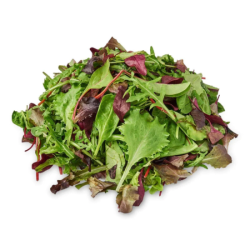 VEGE2FRESH MESCLUN SALAD 100GM  VEGE2FRESH MESCLUN SALAD 100GM
