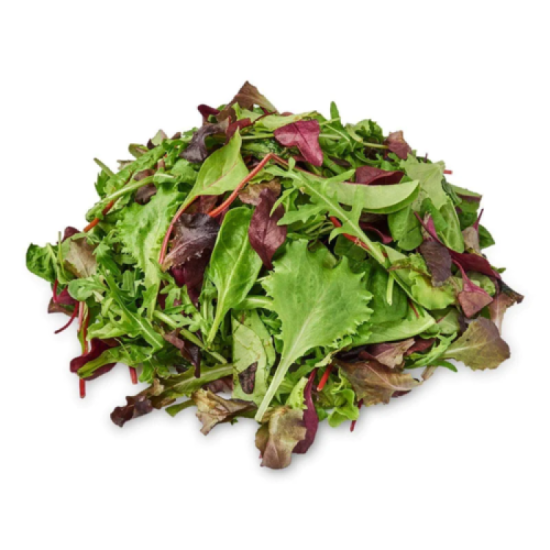 VEGE2FRESH MESCLUN SALAD 100GM 