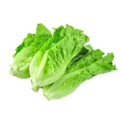 VEGE2FRESH SALAD KING 200GM VEGE2FRESH SALAD KING 200GM
