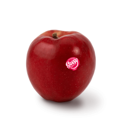 NEW ZEALAND SASSY RED APPLE 5S  NEW ZEALAND SASSY RED APPLE 5S