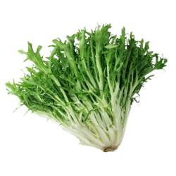 VEGE2FRESH  GREEN FRISEE 150GM VEGE2FRESH  GREEN FRISEE 150GM