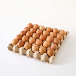 QL SANDY EGG (MEDIUM) 30'S