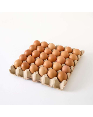 QL SANDY EGG (MEDIUM) 30'S