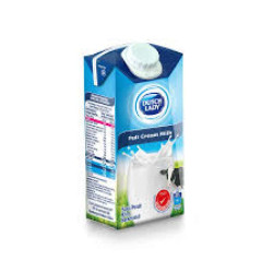 DUTCH LADY RSS FRESH MILK 300ML
