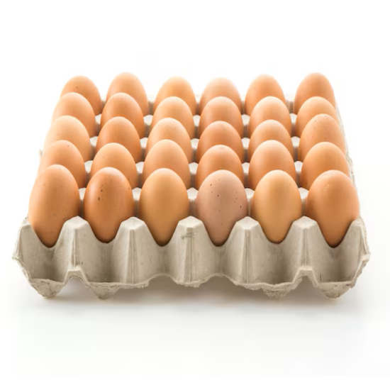 EGG HOUSE GRADE C 30'S