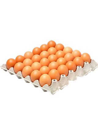 EGG HOUSE GRADE B 30'S