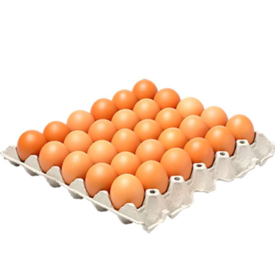 EGG HOUSE GRADE B 30'S