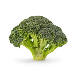 CHINA BROCCOLI 1PCS