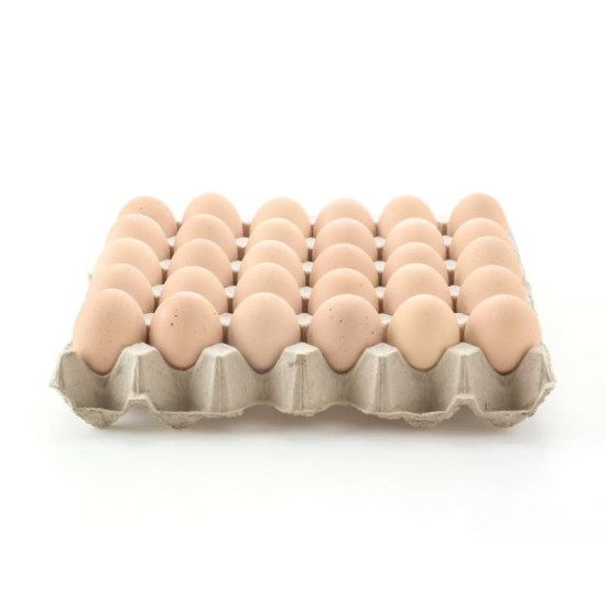 EGG HOUSE KAMPUNG EGG (M) 30'S