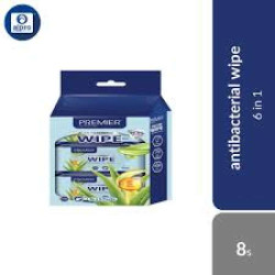 PREMIER ANTIBACTERIAL WIPES 8s*6