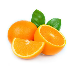 SA VALENCIA ORANGE 72 (6S) SA VALENCIA ORANGE 72 (6S)