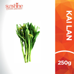 VEGE2FRESH KAI LAN 250GM VEGE2FRESH KAI LAN 250GM