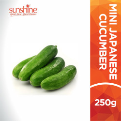 VEGE2FRESH MINI JAPANSE CUCUMBER 250GM VEGE2FRESH MINI JAPANSE CUCUMBER 250GM