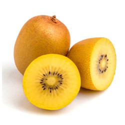 NZ GOLD KIWI 33 PREPACK 5S NZ GOLD KIWI 33 PREPACK 5S
