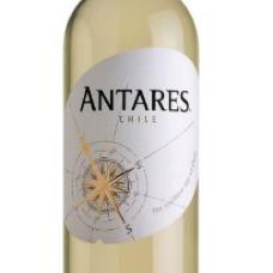 SANTA CAROLINA ANTARES SAU BLANC 750ML SANTA CAROLINA ANTARES SAU BLANC 750ML