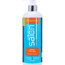 FRUISER SALON SHINE THERAPY CONDITIONER 380ML